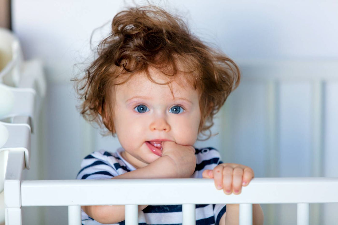 Toddler in cot during 18-month sleep regression