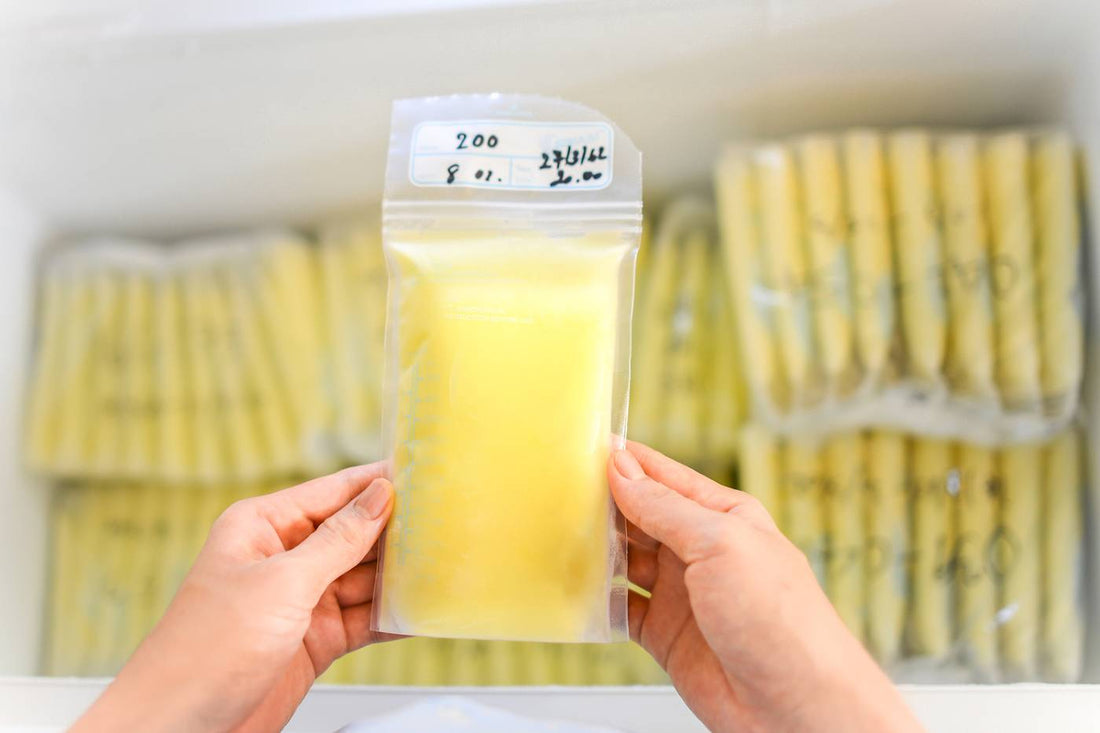 Mum storing breastmilk