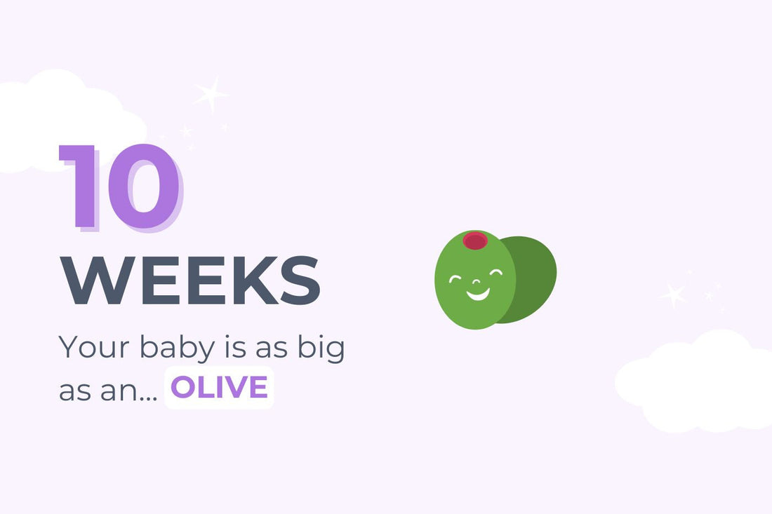 10 Weeks Pregnant: Your baby is as big as an olive