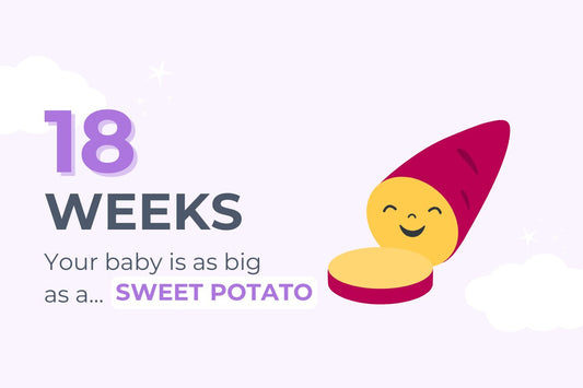 18-weeks-pregnant-your-baby-is-as-big-as-a-sweet-potato
