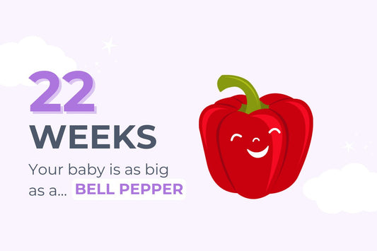 22 weeks pregnant: your baby is as big as a bell pepper
