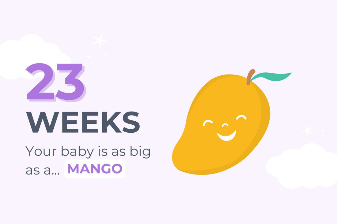 23-weeks-pregnant-your-baby-is-as-big-as-a-grapefruit