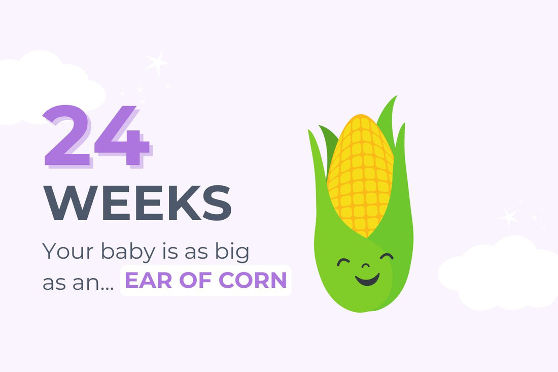 24-weeks-pregnant-your-baby-is-as-big-as-an-ear-of-corn