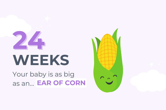 24-weeks-pregnant-your-baby-is-as-big-as-an-ear-of-corn