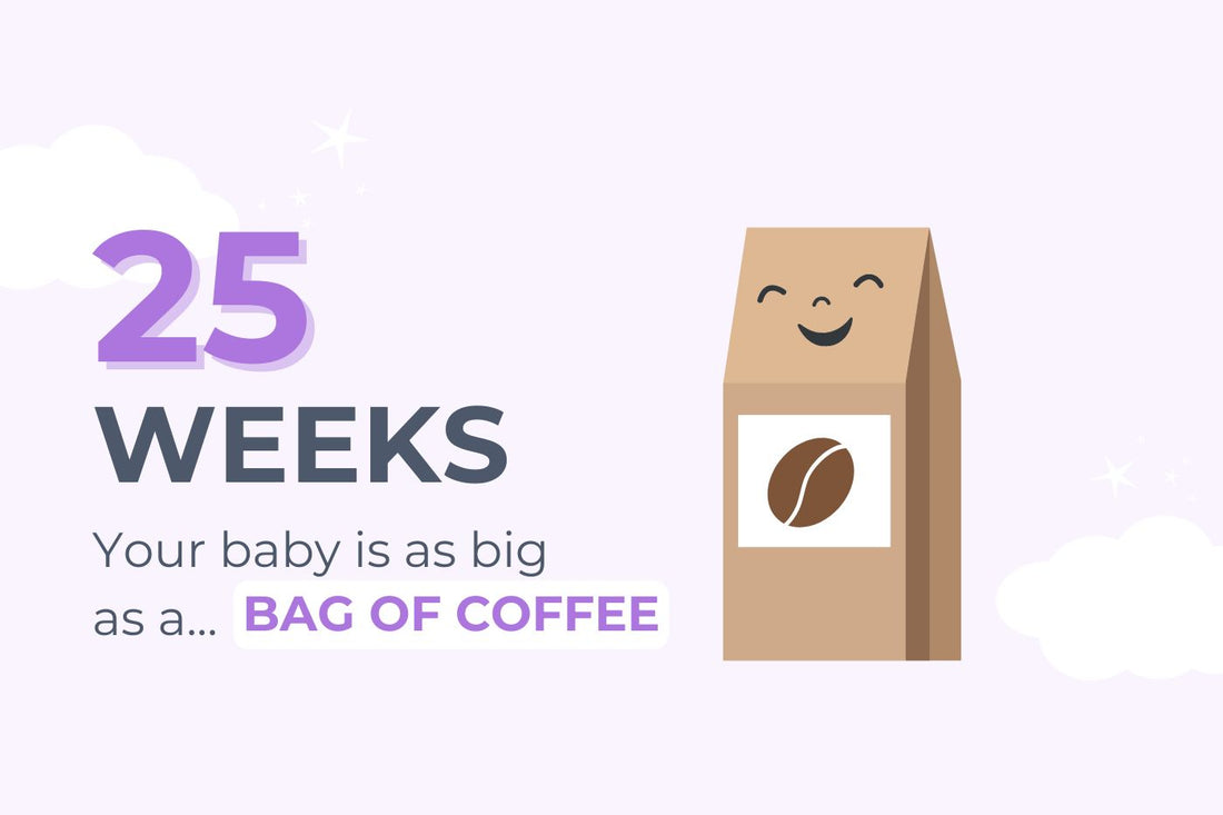 25-weeks-pregnant-your-baby-is-as-big-as-a-bag-of-coffee