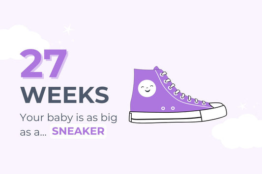 27 weeks: your baby is as big as a sneaker