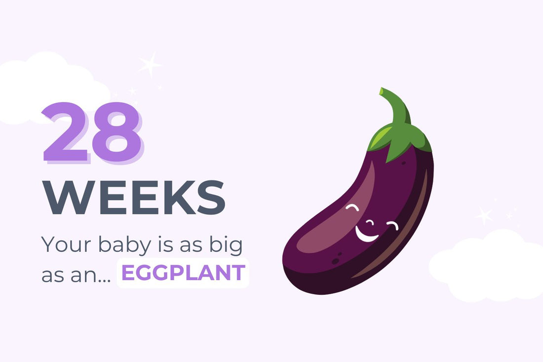 28-weeks-pregnant-your-baby-is-as-big-as-an-eggplant