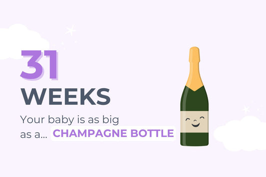 31 weeks: your baby is as big as a bottle of champagne