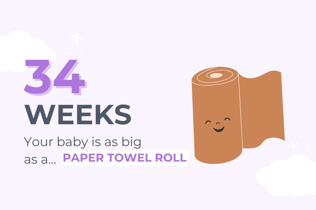 34 weeks pregnant: Your baby is as big as a paper towel roll