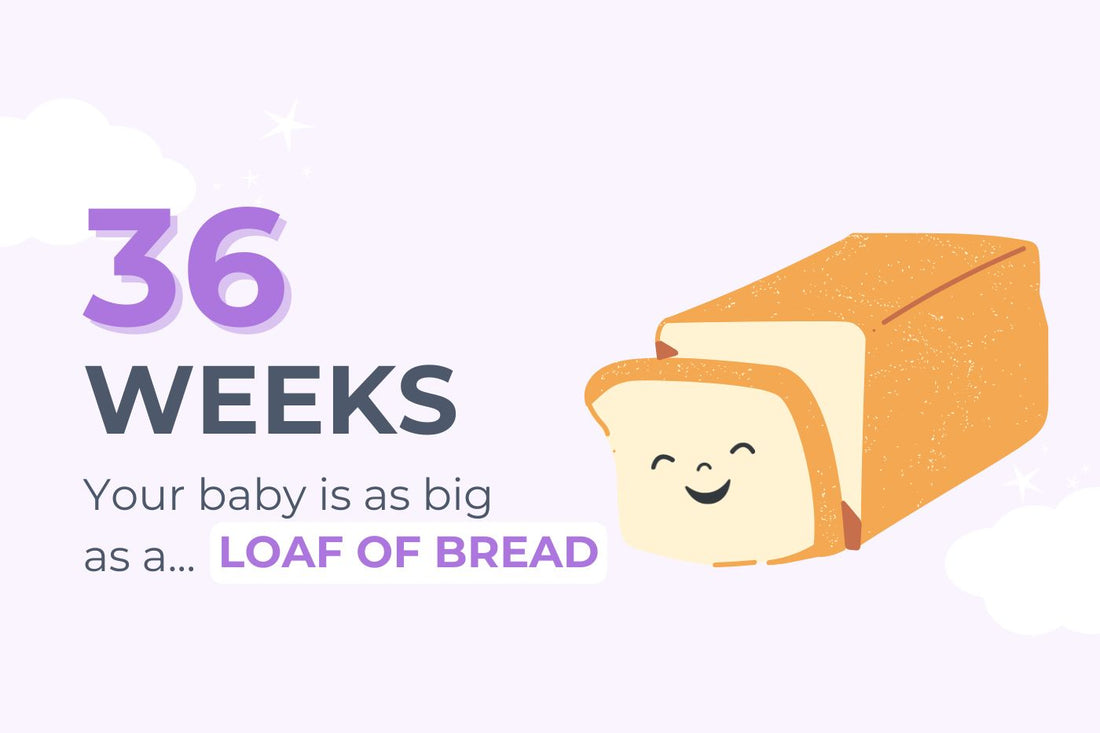 36-weeks-pregnant-your-baby-is-as-big-as-a-loaf-of-bread