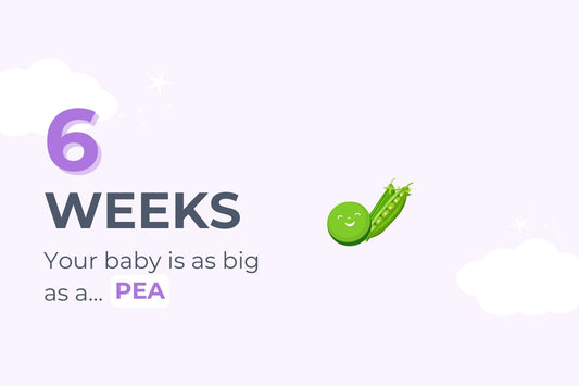 6 weeks pregnant: your baby is as big as a pea