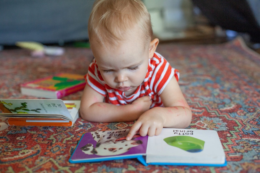 12 Spanish-English Bilingual Books for Babies
