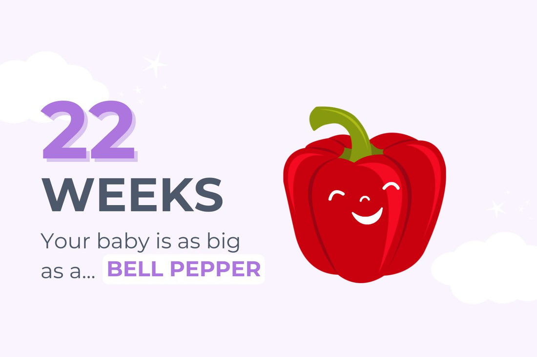 22 weeks pregnant: your baby is as big as a bell pepper