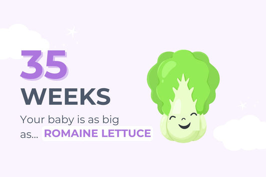 35-weeks-pregnant-your-baby-is-as-big-as-a-head-of-romaine-lettuce