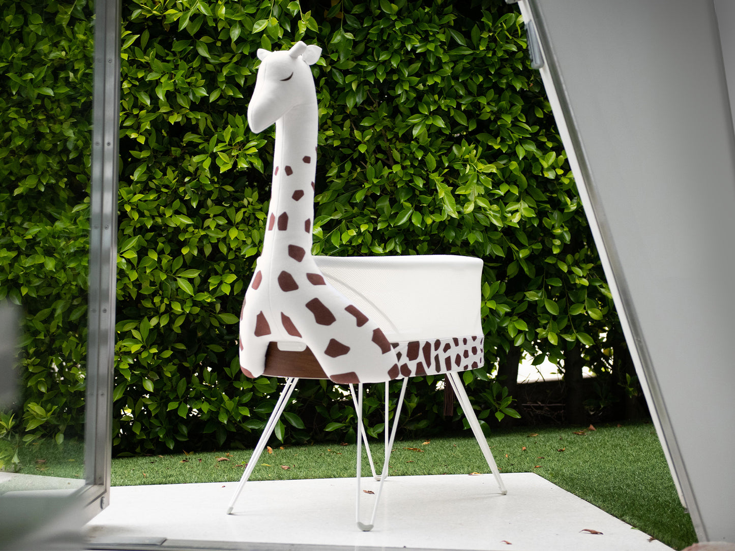 SNOO Zoo Giraffe