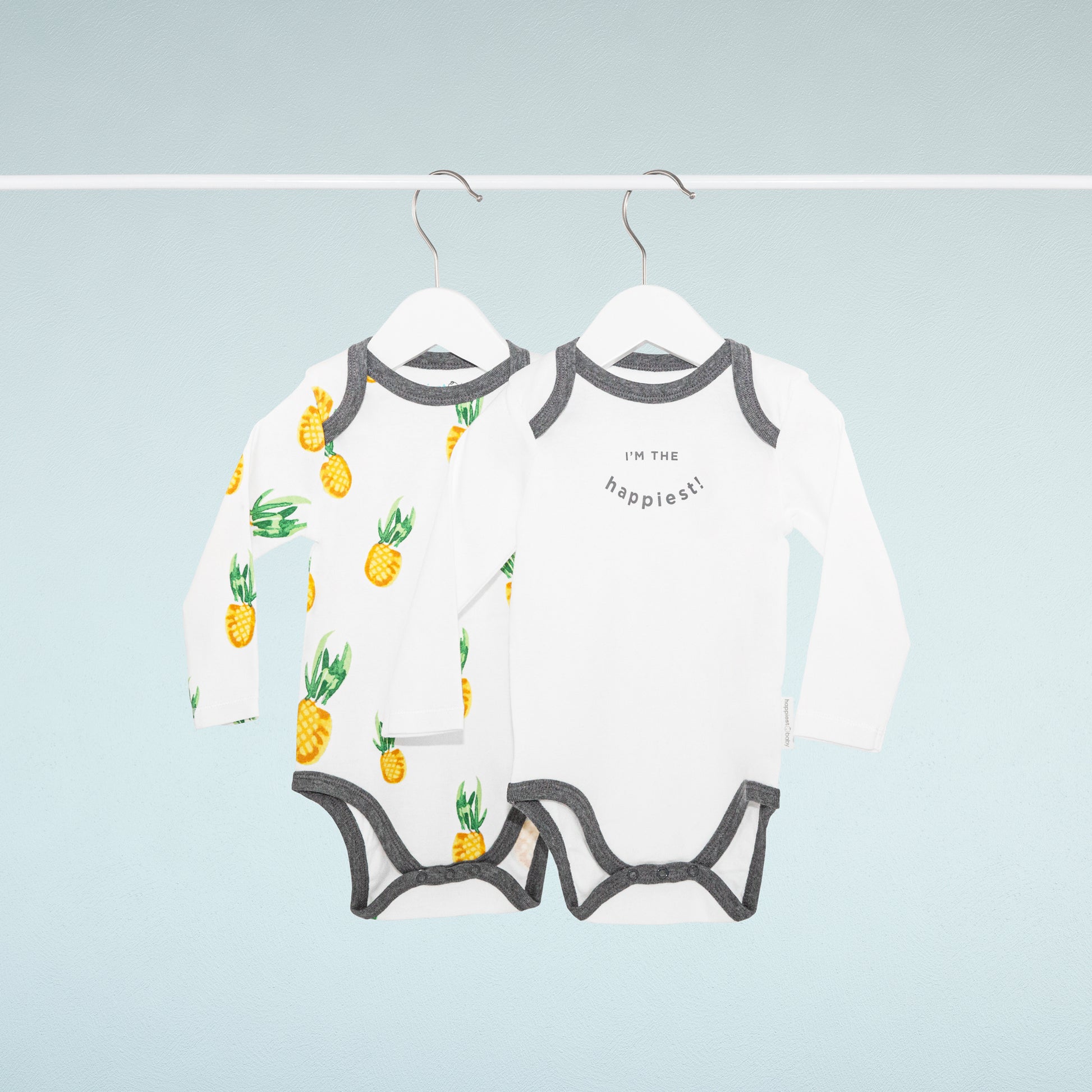pineapple-2-pack